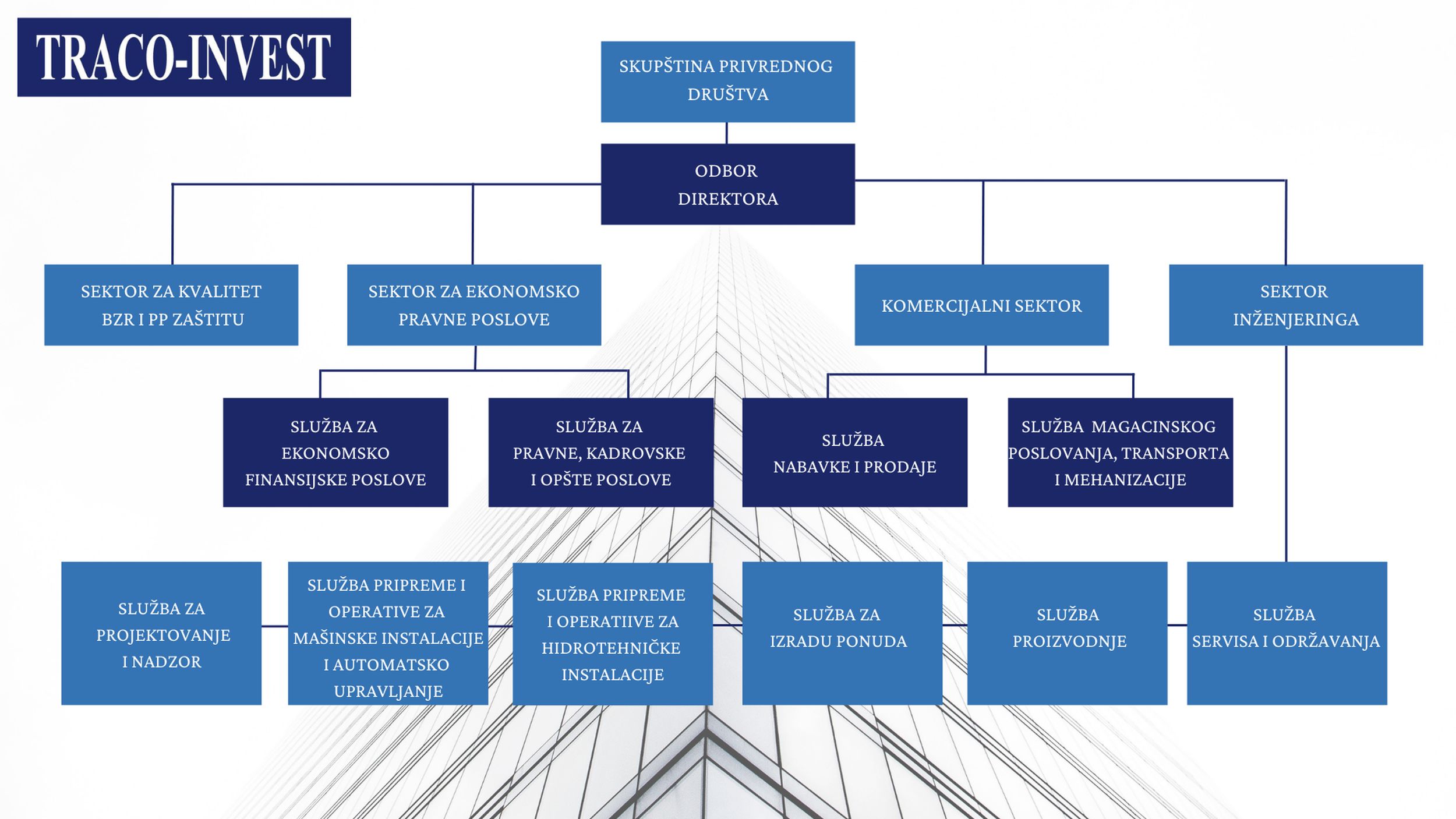 Organizaciona sturktura
